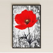 Resim Kırmızı Gelincik Çiçeği Temalı Şeffaf Pleksi Tablo 