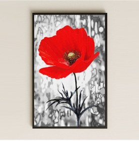 Resim Kırmızı Gelincik Çiçeği Temalı Şeffaf Pleksi Tablo 