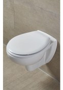 Resim Japar Pasifik Klozet Kapağı 50351 