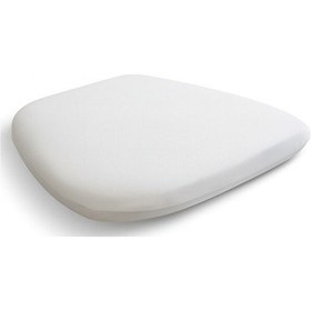 Resim 4 Adet Beyaz Süngerli Sandalye Minderi Standart Tfany Ve Demi 