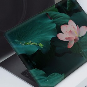 Resim Pembe Nilüfer Çiçeği Notebook Sticker, Laptop sticker,, Hp Sticker, Asus Sticker, 15.6 inç Sticker 