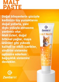 Resim zentiavet Kedi Malt Paste Multivet Kedi Maltı Kedi Vitamini Multivitamin Malt Macun Kediler için 100gr 