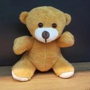 Resim Kahverengi Peluş Oyuncak Ayıcık 