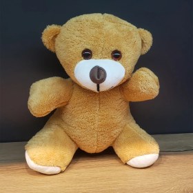 Resim Kahverengi Peluş Oyuncak Ayıcık 