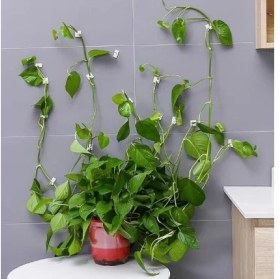 Resim Tekno İstanbul Sarmaşık ve Kablo Düzenleyici Çok Amaçlı Klips 10 Adet 