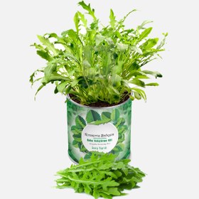 Resim Konserve Bahçem Roka Fide Yetiştirme Kiti 