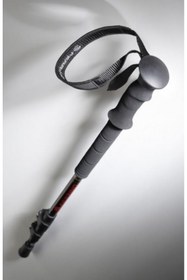 Resim Ferrino Mustang Trekking Baton 