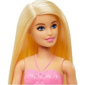 Resim Mattel Barbie Dreamtopia Yeni Denizkızı Bebekler Hgr04 Hgr05 Barbie 