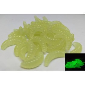 Resim Yapay Sahte Gerçek Görünümlü Glow Kurtçuk Sahte Balık Solucan 10 Adet 