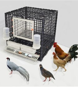 Resim Leganest Tavuk Sülün Keklik Bantam İspenç Kafesi 62 x 62 x 62 CM 