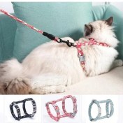 Resim Kedi Gezdirme Göğüs Tasması 