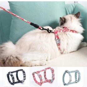 Resim Kedi Gezdirme Göğüs Tasması 