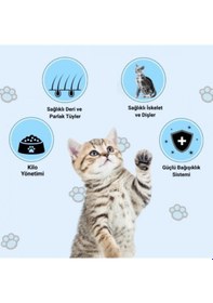 Resim Happy Somonlu Kuru Kedi Maması 12 KG 