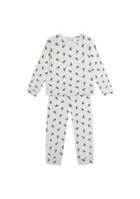 Resim Antebies Organik Gri Yeşil Erkek Çocuk Pijama Takımı Renkli 