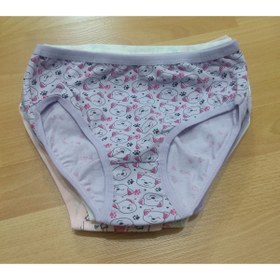 Resim Albeni Giyim 9/10 Yaş Kız Çocuk 5'li Asorti Penye Slip Külot 