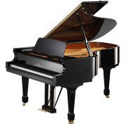 Resim C. Bechstein Academy A 208 