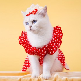 Resim Polkadot Desenli Fiyonklu ve Volanlı Kol Detaylı Evcil Hayvan Elbisesi - Kediler ve Küçük Köpekler İçin Rahat, Nefes Alabilir Kumaş, Kolay Giyilebilir Tasarım, Her Mevsim Şenlik Giyim, Makinede Yıkanabilir - %100 Polyester 