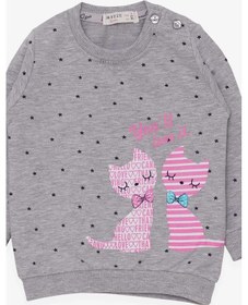 Resim Breeze Kız Bebek Sweatshirt Mutlu Kedicikler 4 Ay-1.5 Yaş, Gri Melanj-gri Melanj Gri Melanj 