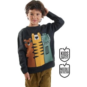 Resim Denokids Hayvanlar Desenli Erkek Çocuk Triko Kazak Antrasit Renk Bisiklet Yaka 