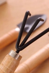 Resim Ahşap Saplı Metal Uçlu 3 Parça Mini Tırmık ve Kürek Çiçek Bitki Fidan Dikim Çapalama Hobi Bakım Seti 