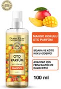 Resim Dermo Clean DOĞAL MEYVE ÖZLÜ MANGO KOKULU OTO PARFÜM 100 ML 