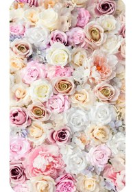 Resim Rovigo Home Dijital Baskılı 2'li Banyo paspas Takımı RVG5273 Çok Renkli 