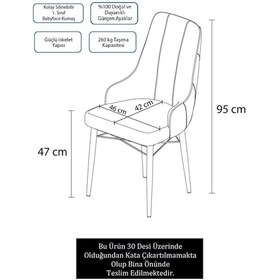 Resim Canisa Neta Serisi, 1.sınıf Babyface Kumaş , Siyah Gürgen Ayak, 8 Adet Gri Mutfak Sandalye Gri 