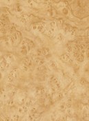 Resim Ecce Desenli Kendinden Kendinden Yapışkanlı Kaplama Folyosu 45 Cm X 2 Mt Dsn0114-2 