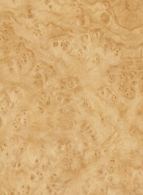 Resim Ecce Desenli Kendinden Kendinden Yapışkanlı Kaplama Folyosu 45 Cm X 2 Mt Dsn0114-2 