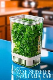 Resim Transformacion Yeşillik Saklama Kabı 2900 ml - Taze Yeşillik İçin Süzgeçli Saklama Kutusu, 7430000721957 