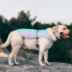 Resim Paw Portal Köpekler İçin Soğutucu Yelek - S / Sarı 