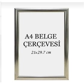 Resim 21x30 Fotoğraf Resim Poster Sertifika Çerçevesi 