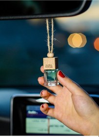 Resim Dark Shadow Oto Kokusu 5x8 Ml 