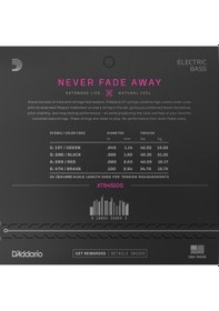 Resim D'addario Xtb45100 Regular Light / Long Scale Set Bas Gitar Teli 