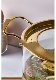 Resim Logan Gold Kapaklı 5,5 L Cam Tencere 20x20 Cm Şeffaf 