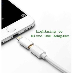 Resim Oem Phone iPad Lightning - Micro USB Çevirici 