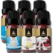 Resim LTG Nova Esansiyel Uçucu Koku Yağı Difüzör Esansı Buhurdanlık Yağı Aromaterapi Yağı 10Ml 