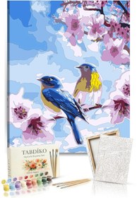 Resim Tabdiko Sayılarla Boyama Seti 40 x 50 cm Tuval Şasesine Gerili Bahar Dalında Kuşlar 