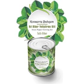 Resim Adatak® Konserve Bahçem Evde Konservede Tatlı Sivri Biber Yetiştirme Kiti 