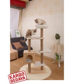 Resim Lissa Kedi Tırmalama Alanı 