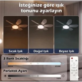 Resim Elma Shop LED Ampullü Tavan Vantilatörü - 6 Kanatlı - 40 W - 52 cm Çap Genişliği - Uzaktan Kumandalı 3 Renk Tonu Seçimli - Kademe ve Zaman Ayarlı - 