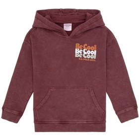 Resim U.S. Polo Assn. U.s. Polo Assn. Erkek Çocuk Plum Sweatshirt 50315750-vr177 New Plum 