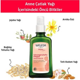 Resim Weleda Anne Çatlak Karşıtı Bakım Yağı 100 ml 