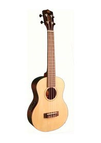 Resim D\'Clair Tx-200Neq 26\" Elektro Ukulele Taşıma Çantası 