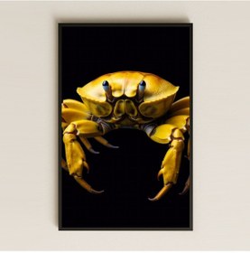 Resim Sarı Yengeç Temalı Şeffaf Pleksi Tablo 