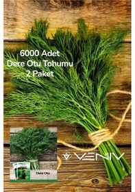 Resim 6000 Adet Dere Otu Tohumu 2 Paket 