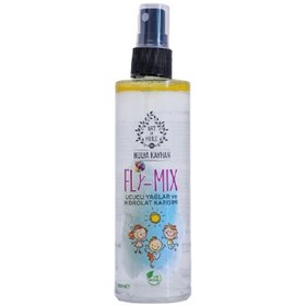 Resim Art De Huile Fly-Mix 100 ml 