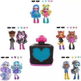 Resim Monster High Sürpriz İksirler Havalı Arkadaşlar Serisi JCY18 