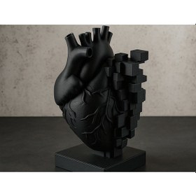 Resim Piksel Kalp Heykeli Mat Siyah Anatomik Sanat Dekoratif Biblo 