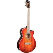 Resim Washburn EA55G Festival Elektro Akustik Gitar 